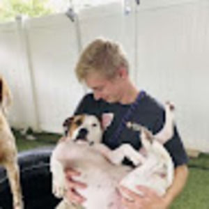 Meet your Posher, Alexander